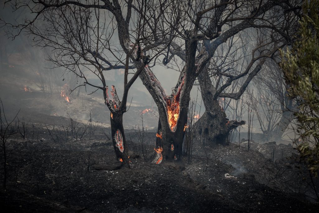 Ολονύχτια μάχη με τις αναζωπυρώσεις στο Πλωμάρι – Δύσκολη η κατάσταση λόγω των ισχυρών ανέμων