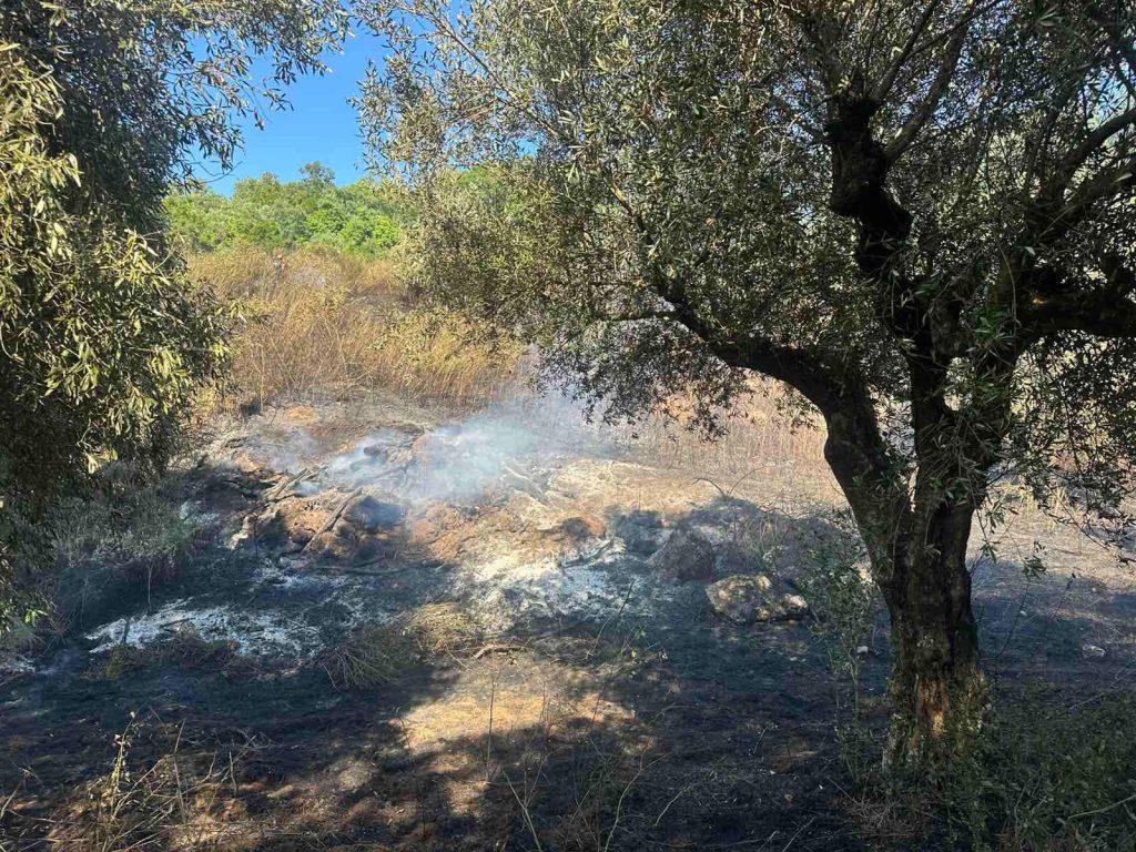 Μεσσηνία: Έκταση 20 στρεμμάτων κάηκε στο Βλαχόπουλο – Η άμεση επέμβαση της Πυροσβεστικής απέτρεψε την εξάπλωσή της πυρκαγιάς