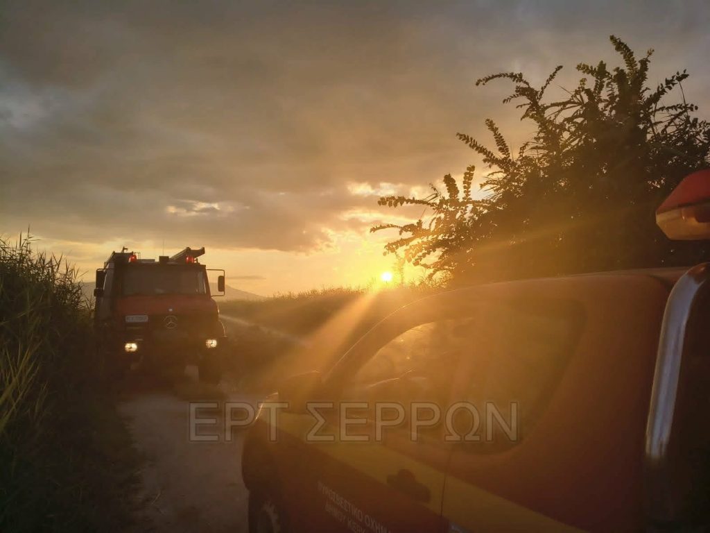 Σέρρες: Πυρκαγιές σε συνολικά έξι μέτωπα αντιμετώπισε η Πυροσβεστική
