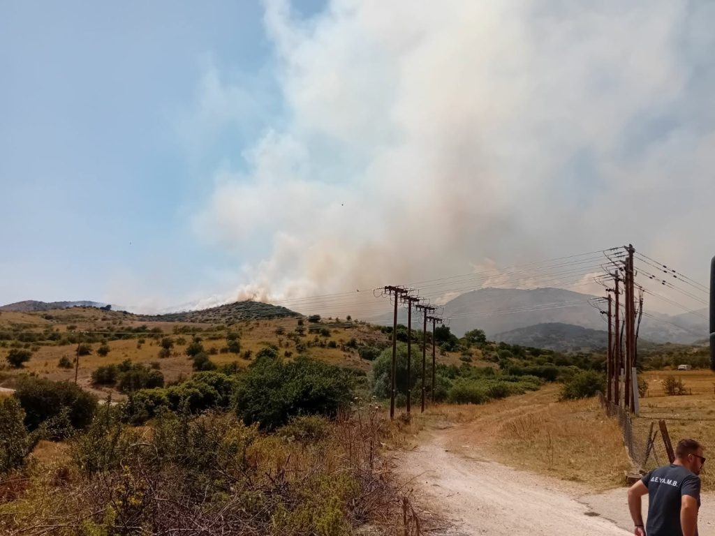 Σε εξέλιξη η φωτιά σε αγροτοδασική έκταση στον Αργυρόμυλο Λάρισας – Συνεχείς ρίψεις από 4 εναέρια μέσα