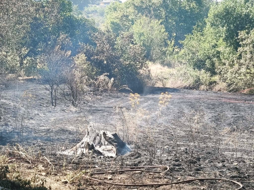 Υπό μερικό έλεγχο η φωτιά στη Ζίτσα – Έσπευσαν έξι πυροσβεστικά και δασοκομάντος