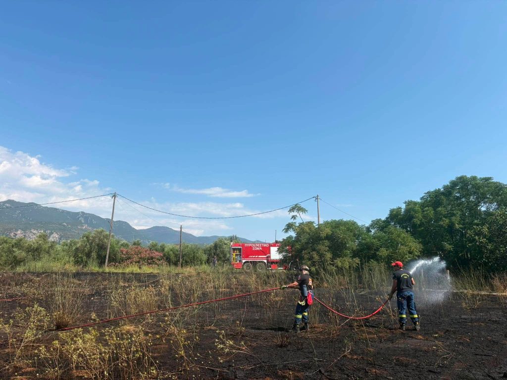Καλαμάτα: Άμεση επέμβαση της Πυροσβεστικής σε φωτιά στον Άγιο Φλώρο – Τέθηκε γρήρα υπό έλεγχο