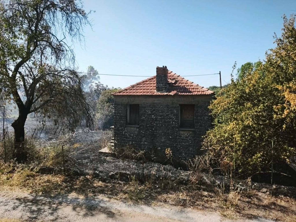 Υπό μερικό έλεγχο η φωτιά στη Ζίτσα – Έσπευσαν έξι πυροσβεστικά και δασοκομάντος