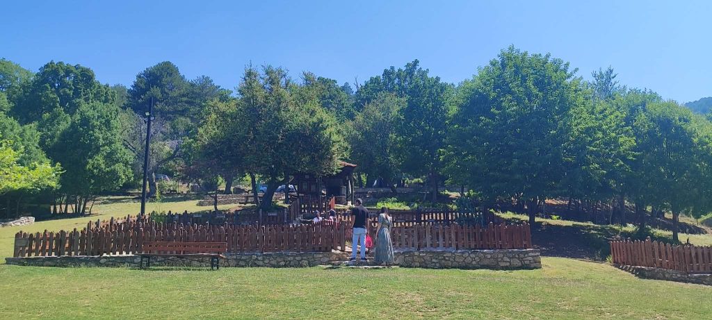Κοζάνη: Το 3ο Φεστιβάλ «Ο Χορός των Ελαφιών» αναδεικνύει έναν μοναδικό φυσικό προορισμό