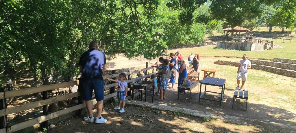 Κοζάνη: Το 3ο Φεστιβάλ «Ο Χορός των Ελαφιών» αναδεικνύει έναν μοναδικό φυσικό προορισμό