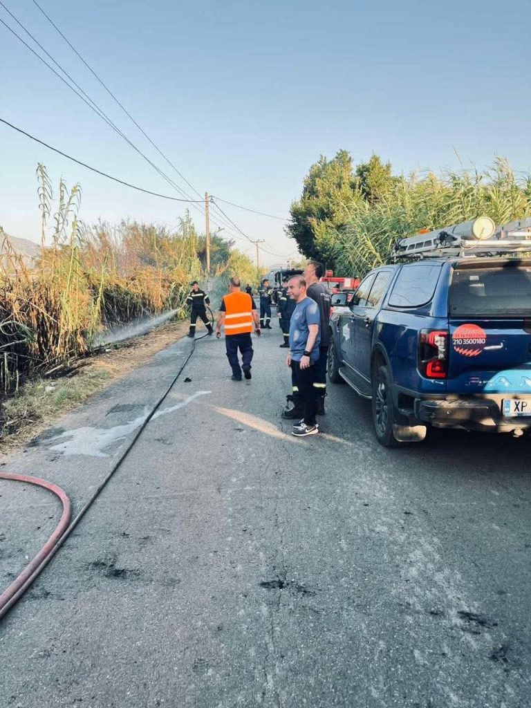 Καλαμάτα: Άμεσα υπό έλεγχο δύο πυρκαγιές σε Αριοχώρι και Ακοβίτικα