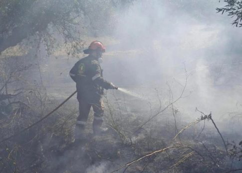 Live – 28η Οκτωβρίου: Η μεγάλη στρατιωτική παρέλαση στη Θεσσαλονίκη