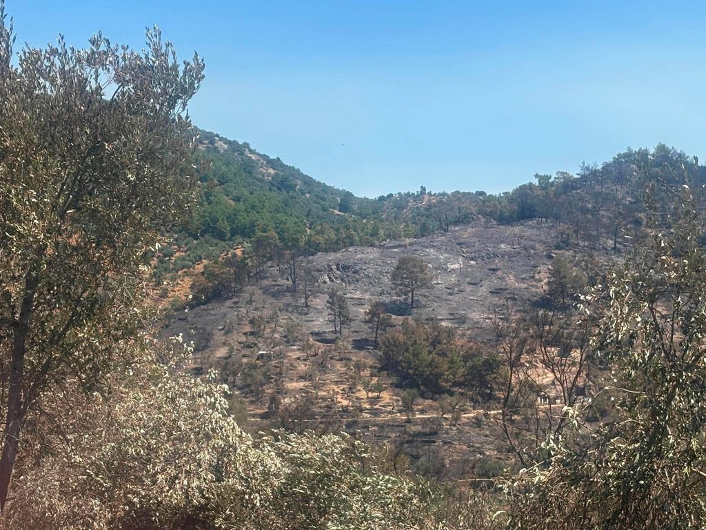 Λέσβος: Σε ύφεση η φωτιά στο Πλωμάρι – Σε επιφυλακή η πυροσβεστική λόγω των ισχυρών ανέμων