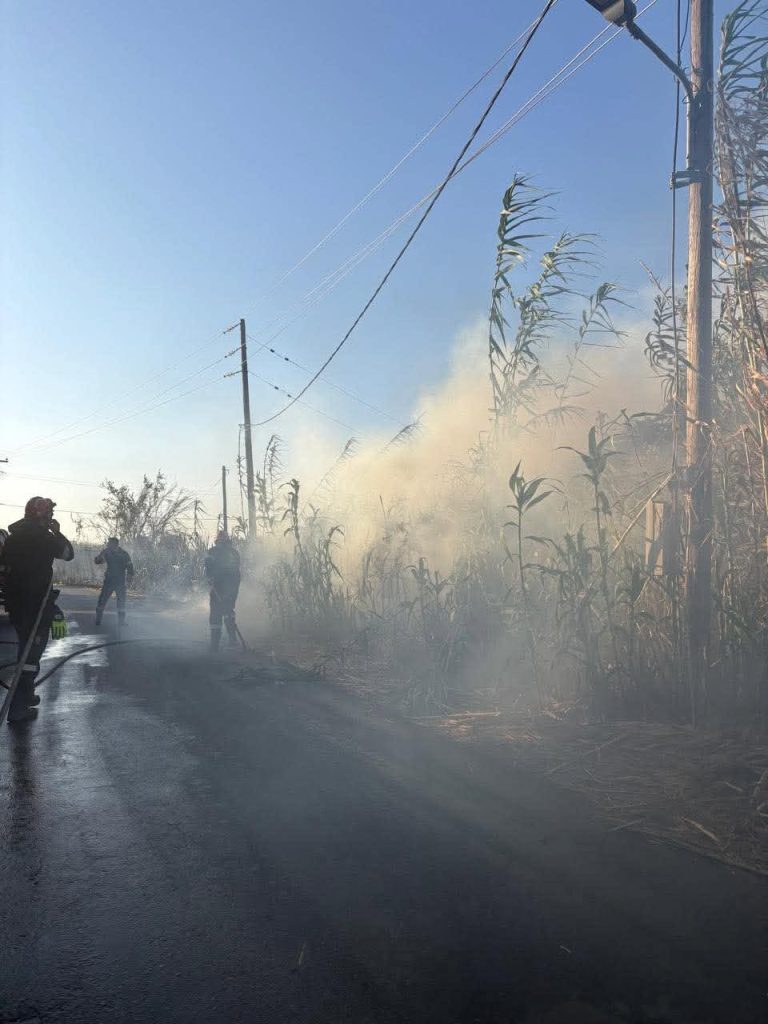 Καλαμάτα: Άμεσα υπό έλεγχο δύο πυρκαγιές σε Αριοχώρι και Ακοβίτικα