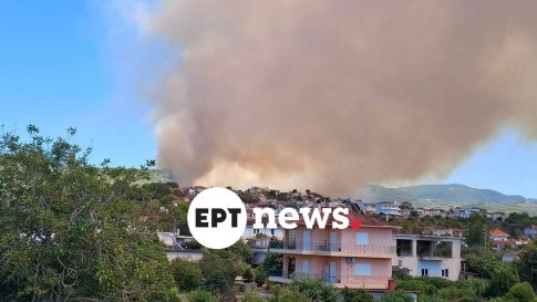<strong>Παναμάς: Αριθμός ρεκόρ μεταναστών διασχίζει την επικίνδυνη ζούγκλα Ντάριεν</strong>