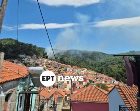 Λέσβος: Σήμα κινδύνου από το Πανεπιστήμιο Αιγαίου για το δάκο – Τι δείχνουν τα δεδομένα