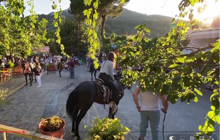 Το πανηγύρι του Προφήτη Ηλία στην Αγιάσο της Λέσβου