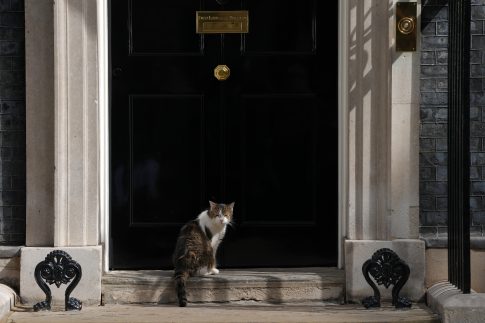 «Κόκκαλο» η ροκ τελετουργία που παρουσιάστηκε και στη Νέα Υόρκη, ξανά στην Αθήνα από τις 4/12 στο <strong>Θέατρο Σημείο</strong>