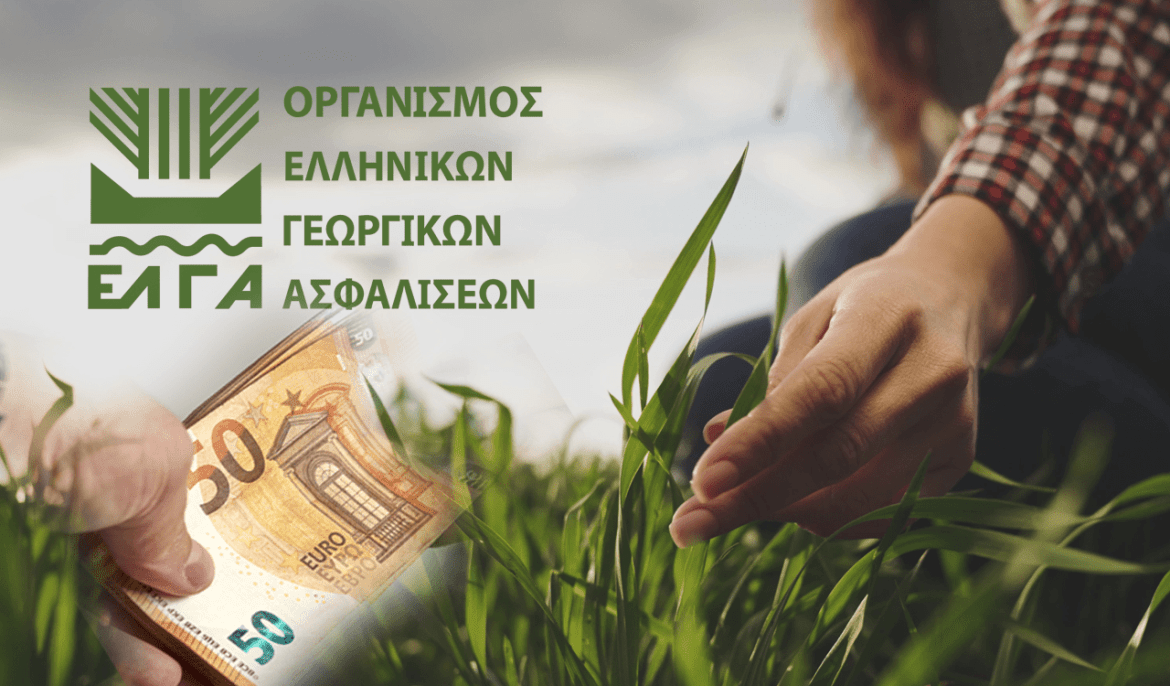 apozimioseis-agroton-kthnotrofon-elga