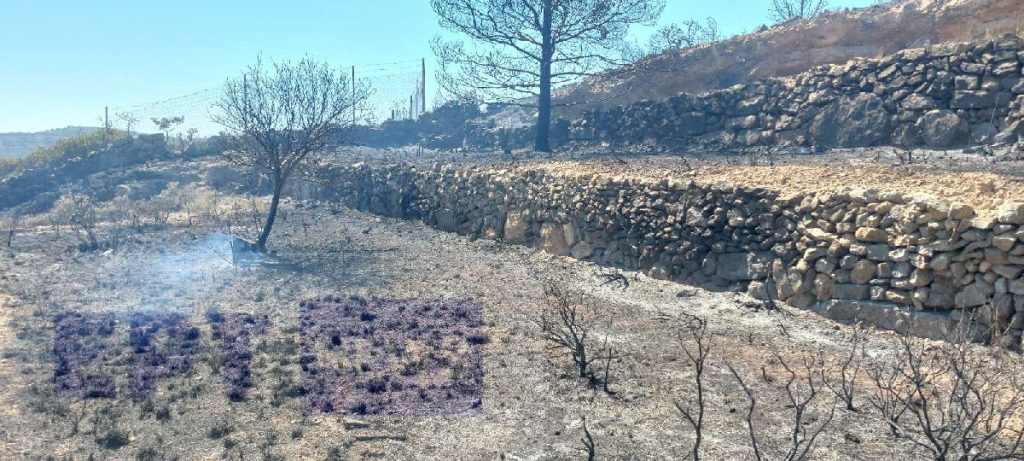 Πυροσβεστική Υπηρεσία Χίου: Διοικητικό πρόστιμο στο εργοστάσιο της ΔΕΗ για τα μέτρα πυροπροστασίας