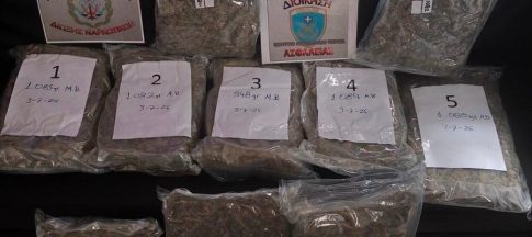 Μεγάλη φωτιά στην Καλλικράτεια Χαλκιδικής, μήνυμα από το 112 για απομάκρυνση των κατοίκων – Ενισχύθηκαν οι δυνάμεις στο Κιλκίς