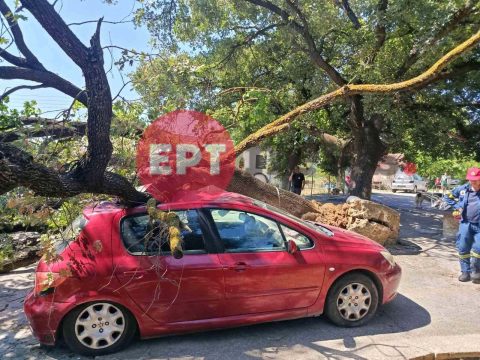 Έργα αποκατάστασης στην Ηλεία μετά τις συνέπειες της τελευταίας θεομηνίας