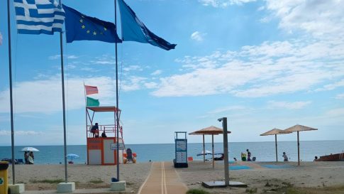 <strong>Με επιτυχία η Γιορτή Ακτινιδίου σε Αιγάνη και Πυργετό Λάρισας</strong>