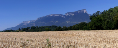 Η κλιματική κρίση επιδεινώνει την ακραία ξηρασία στην Ευρώπη