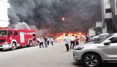 Χαλκιδική: Ζώα βόσκουν ανάμεσα στα σκουπίδια σε ανεξέλεγκτη χωματερή