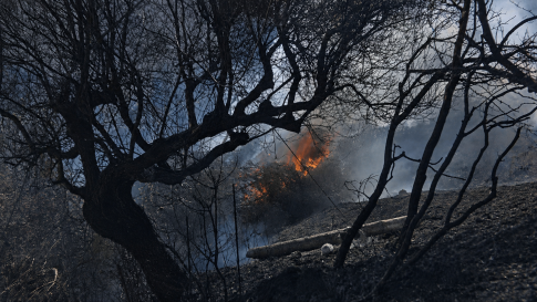Σέρρες: Πυρκαγιά σε αγροτική περιοχή στη Νιγρίτα- Με εγκαύματα στα πόδια αγρότης που εκτελούσε εργασίες στο χωράφι του