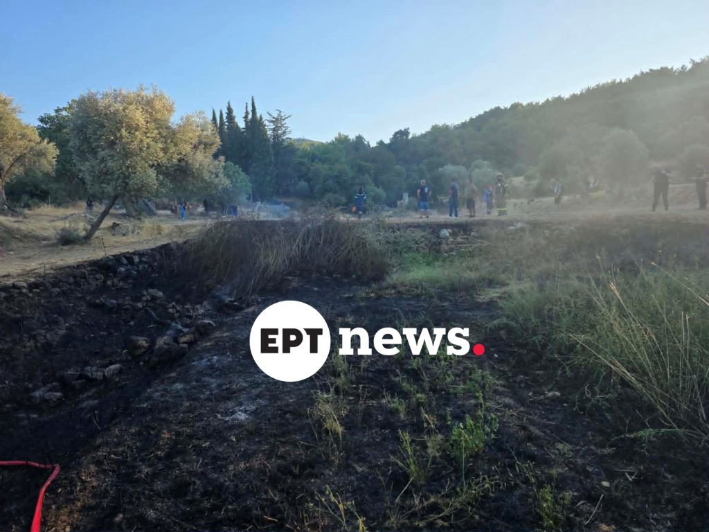 “Βροχή” τα πρόστιμα και συλλήψεις από την Π.Υ. Χίου για πρόκληση πυρκαγιάς
