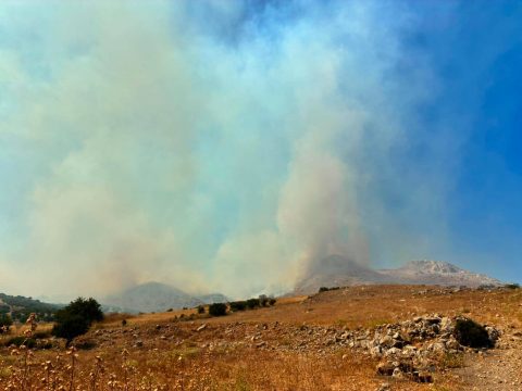 Άργος Ορεστικό: «Άγιο» είχε 19χρονος οδηγός – Έπεσε σε δέντρο και σώθηκε από γκρεμό