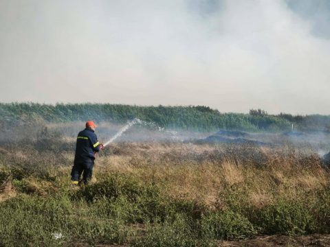 Πανεπιστήμια και δημοσιογρραφικοί οργανισμοί από όλο τον κόσμο στην 5η Διεθνή Θερινή Ακαδημία Δημοσιογραφίας