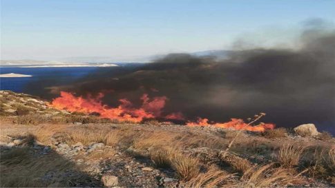 Ανακοινώθηκαν οι 32 ταινίες του Φεστιβάλ Νέας Υόρκης