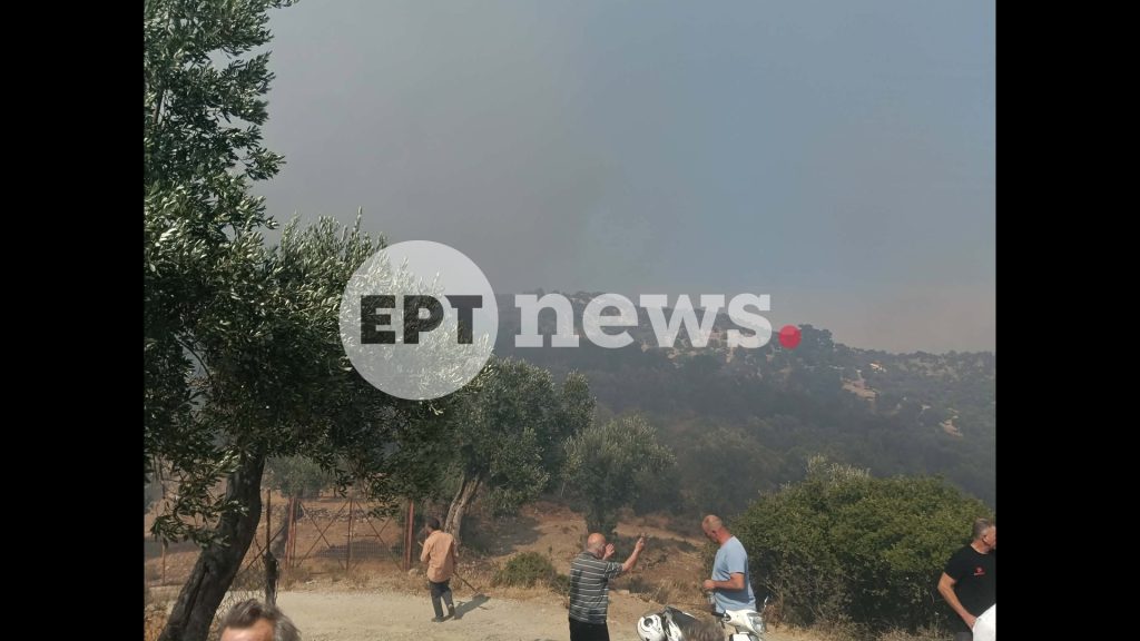 Πλωμάρι Λέσβου: Πάνω από 600 στρέμματα με δέντρα και θαμνότοπους παραδόθηκαν στις φλόγες