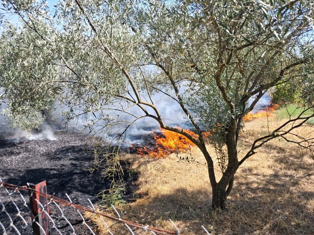 Σκληρή μάχη με τι φλόγες σε αγροτοδασική έκταση στην Οινούσσα Σερρών – Μήνυμα 112 στους κατοίκους