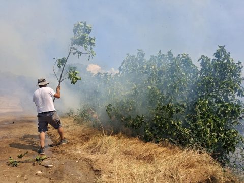 Τεχνητή νοημοσύνη και εικονικοί κόσμοι στην 10<sup>η</sup> έκθεση Άρτας