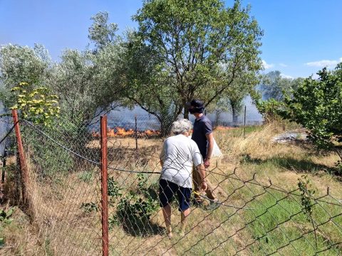 Αφροδίτη Νέστορα: «Εύχομαι οι δικαστές να επιβάλλουν τις ποινές που αξίζουν στους δολοφόνους της μητέρας μου»