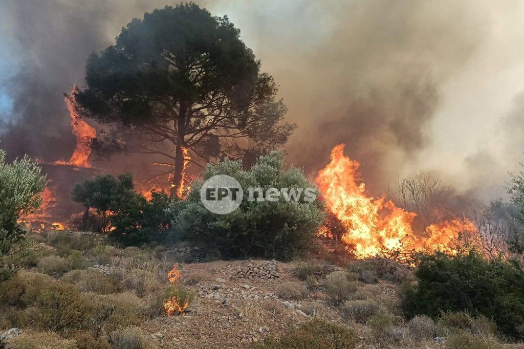 Λέσβος: Φωτιά στην παλιά χωματερή Πλωμαρίου
