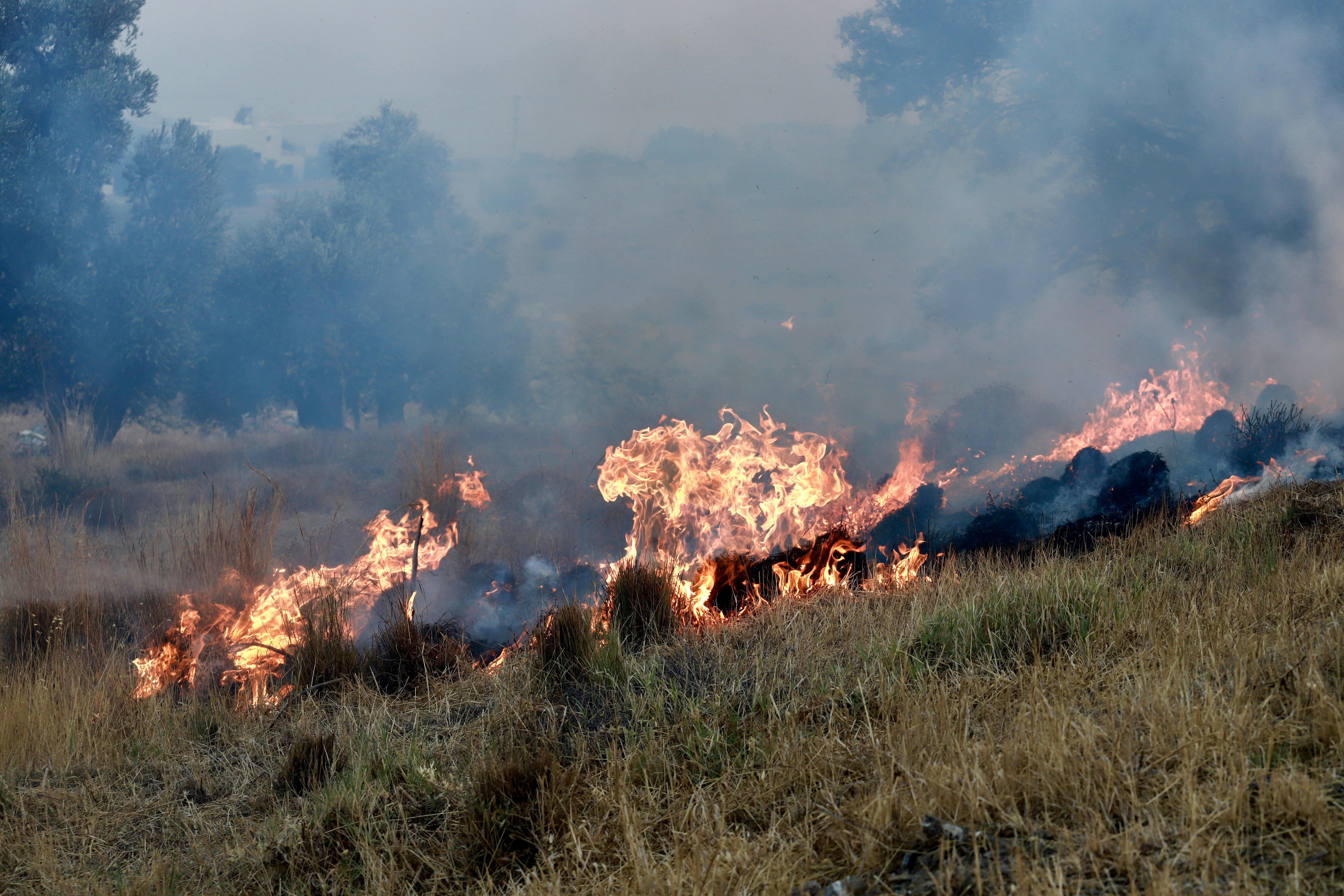 Φωτιά στην Κάλυμνο: Σε πλήρη κινητοποίηση η Πυροσβεστική – Ενισχύονται οι δυνάμεις με πυροσβέστες και οχήματα από την Κω