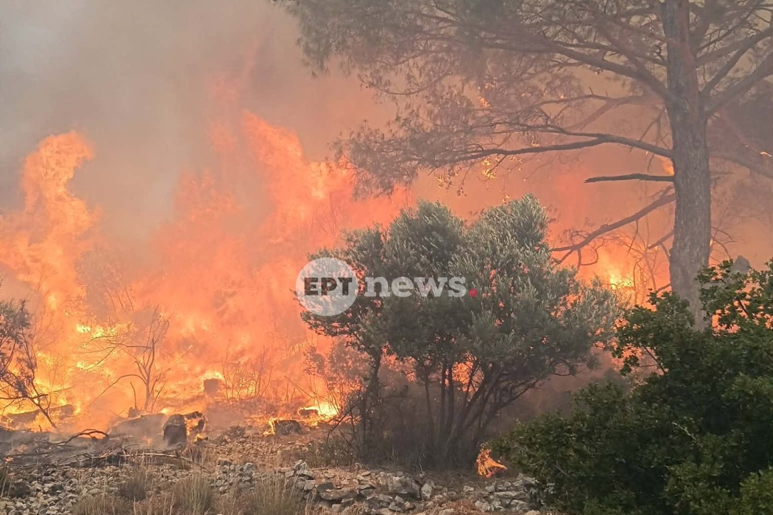 Φωτιά τώρα στο Πλωμάρι της Λέσβου