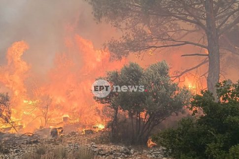 Υψηλός κίνδυνος πυρκαγιάς στη Ροδόπη: Απαγόρευση κυκλοφορίας σε δάση και άλση
