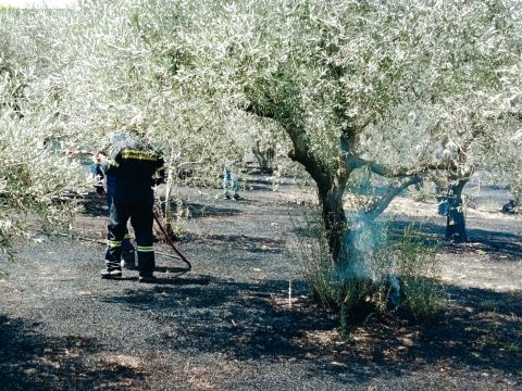 Διαχρονική πηγή έμπνευσης για καλλιτέχνες το μοναδικό περιβάλλον της Δυτικής Λέσβου