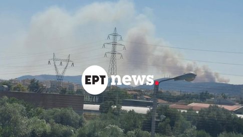 Κρατικές ενισχύσεις de minimis ύψους έως 24.65 εκατ. ευρώ σε παραγωγούς