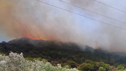 Ψήφισμα εξέδωσε η ΠΕΔ Νοτίου Αιγαίου για τη σύλληψη του δημάρχου Πάρου