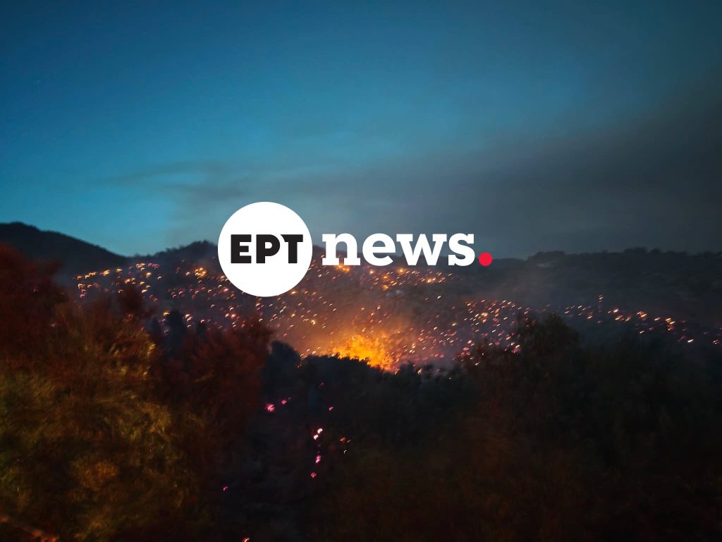 Λέσβος: Σε δύο μέτωπα η φωτιά στο Πλωμάρι – Μάχη με τις αναζωπυρώσεις και τους ισχυρούς ανέμους