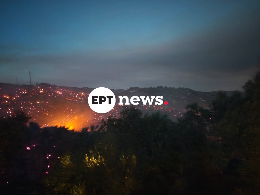 Λέσβος: Σε δύο μέτωπα η φωτιά στο Πλωμάρι – Μάχη με τις αναζωπυρώσεις και τους ισχυρούς ανέμους