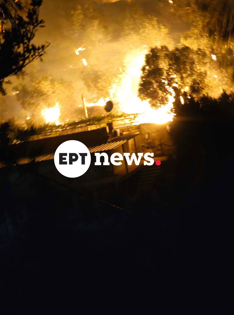 Λέσβος: Σε δύο μέτωπα η φωτιά στο Πλωμάρι – Μάχη με τις αναζωπυρώσεις και τους ισχυρούς ανέμους