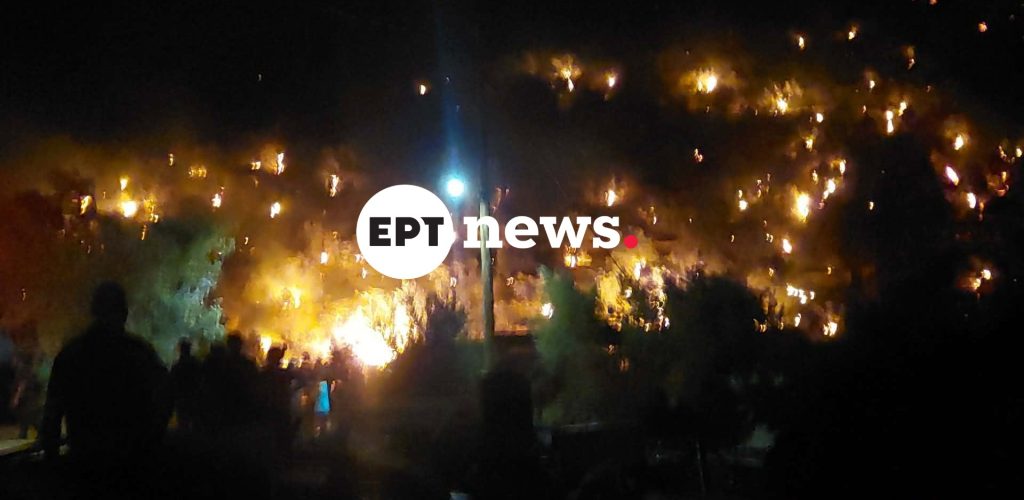 Λέσβος: Σε δύο μέτωπα η φωτιά στο Πλωμάρι – Μάχη με τις αναζωπυρώσεις και τους ισχυρούς ανέμους