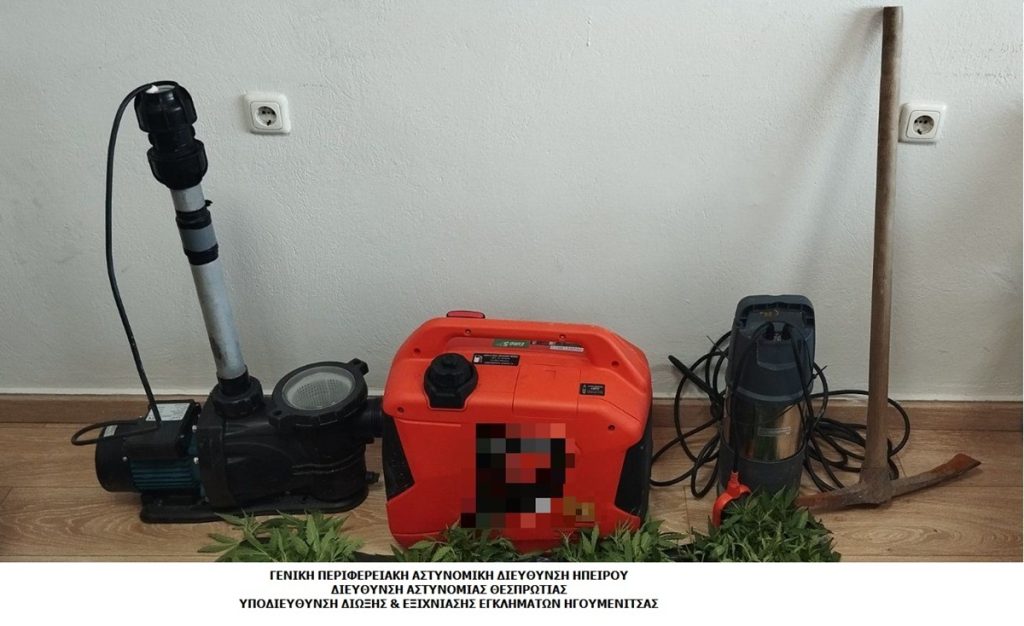 Φυτεία με 821 δενδρύλλια κάνναβης εντοπίστηκε στη Δωδώνη