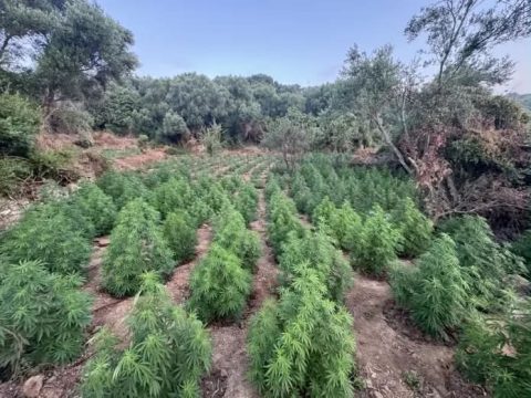 Γενική συνέλευση του Συλλόγου <strong>Ατόμων με Αναπηρία</strong> Αρκαδίας