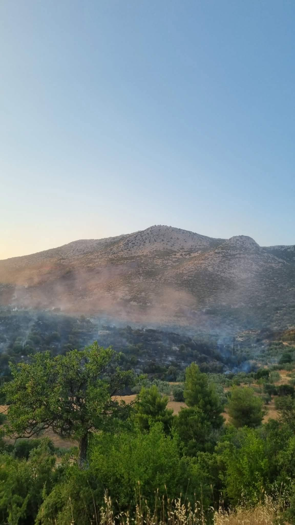 Καλύτερη η εικόνα της φωτιάς στην Αγία Ελένη Τροιζηνίας