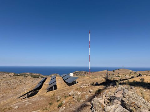 Λέσβος: Σήμα κινδύνου από το Πανεπιστήμιο Αιγαίου για το δάκο – Τι δείχνουν τα δεδομένα