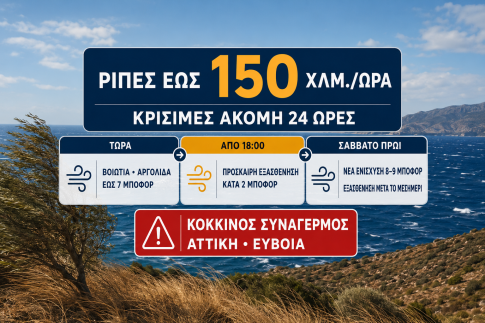 Ψήφισμα εξέδωσε η ΠΕΔ Νοτίου Αιγαίου για τη σύλληψη του δημάρχου Πάρου