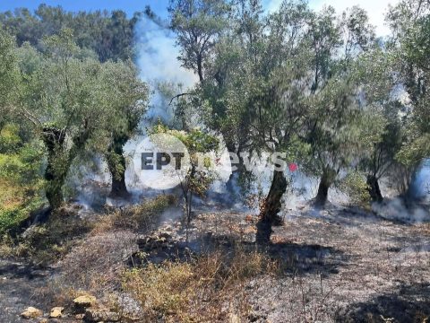 Έμπολα: Ξεκίνησε κλινική δοκιμή θεραπειών κατά του ιού στη ΛΔ Κονγκό